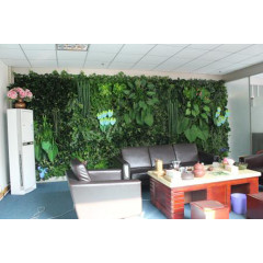 办公室的绿植墙