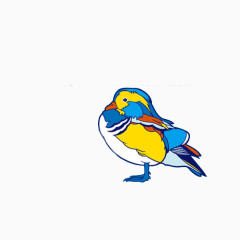 鸟类主题创意插画视觉设计