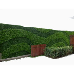 公司的绿植围墙
