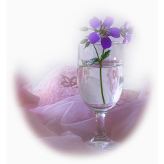 实拍透明玻璃杯紫色花朵