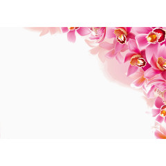 粉红花叶边框