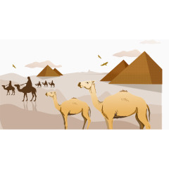埃及沙漠骆驼金字塔背景