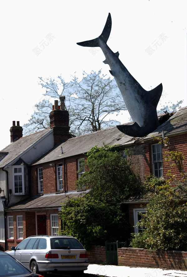 海豚与房屋