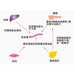 糖尿病知识图素材免抠