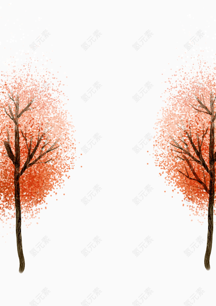 红色树叶的数木