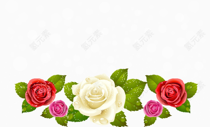 矢量玫瑰花装饰