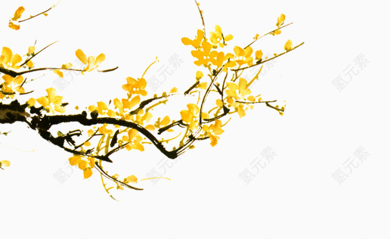 黄色花枝