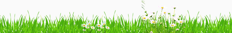 绿色青草鲜花装饰免费素材