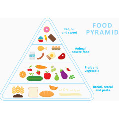 饮食结构图矢量