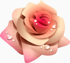 米色手绘水珠玫瑰