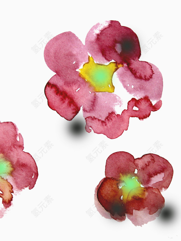 深红水粉花朵