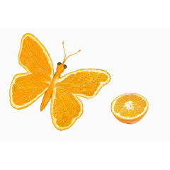 黄色蝴蝶橘子
