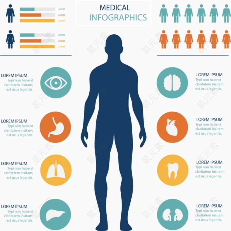 矢量人体分析图案