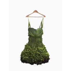 蔬菜裙子
