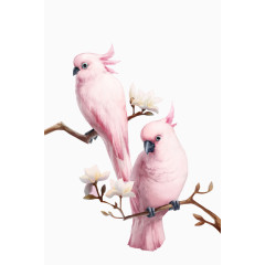 粉色鹦鹉鸟类树干手绘图