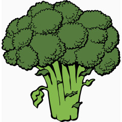 花菜 蔬菜 绿色食品