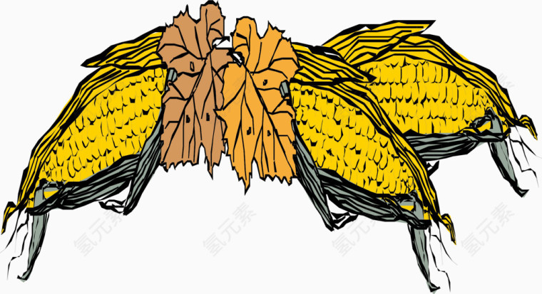 手绘玉米素材图片