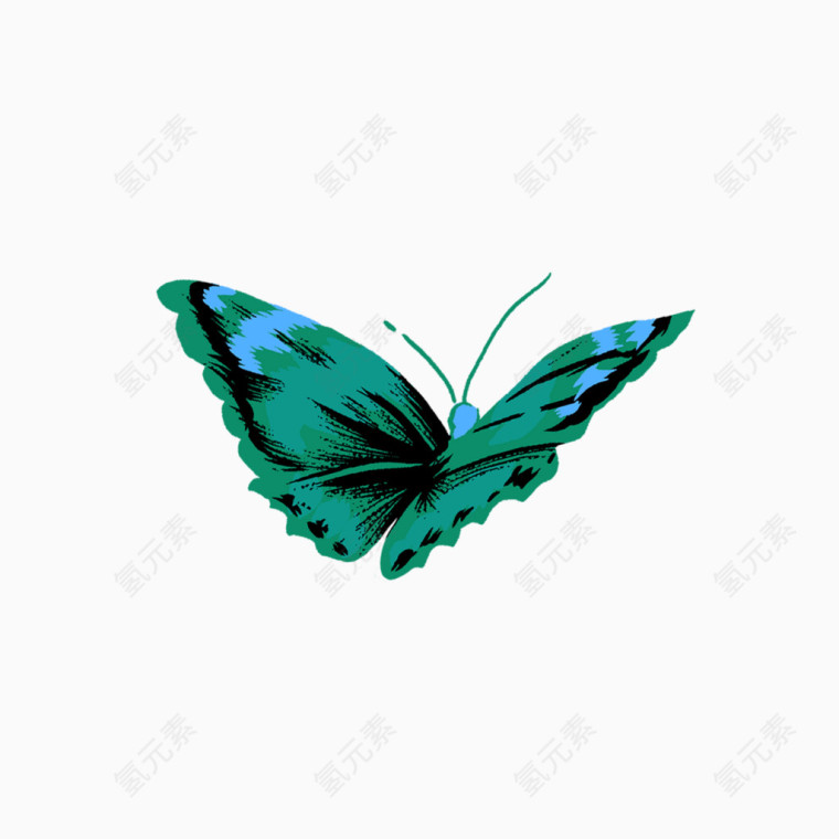 手绘飞舞的蝴蝶