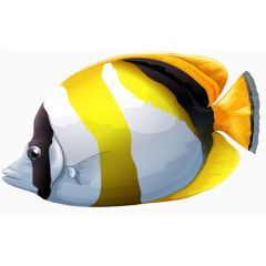 黄色蜜蜂鱼免抠素材