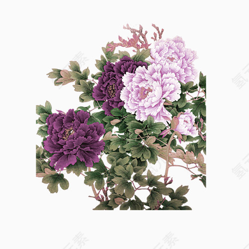 紫色大气花团锦簇装饰图案