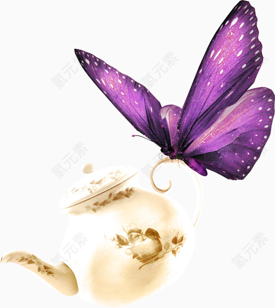 蝴蝶和茶壶