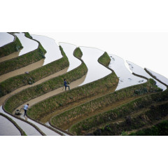 广西龙脊梯田风景