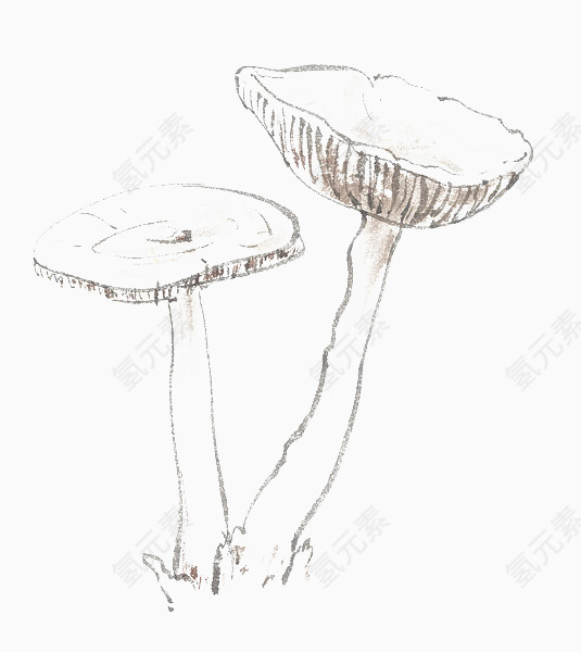 手绘白色蘑菇