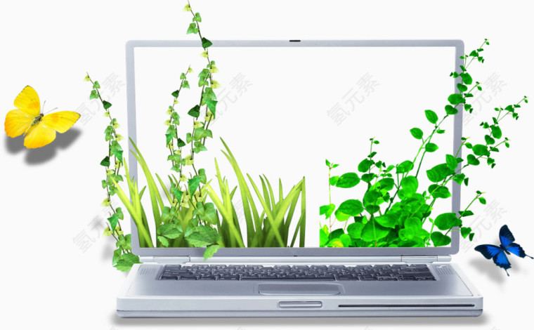 绿植与电脑