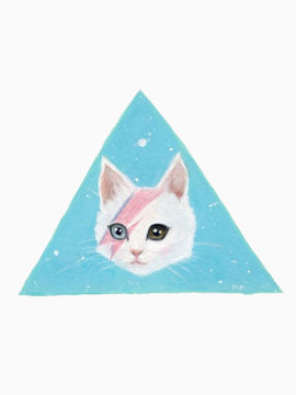 三角小猫