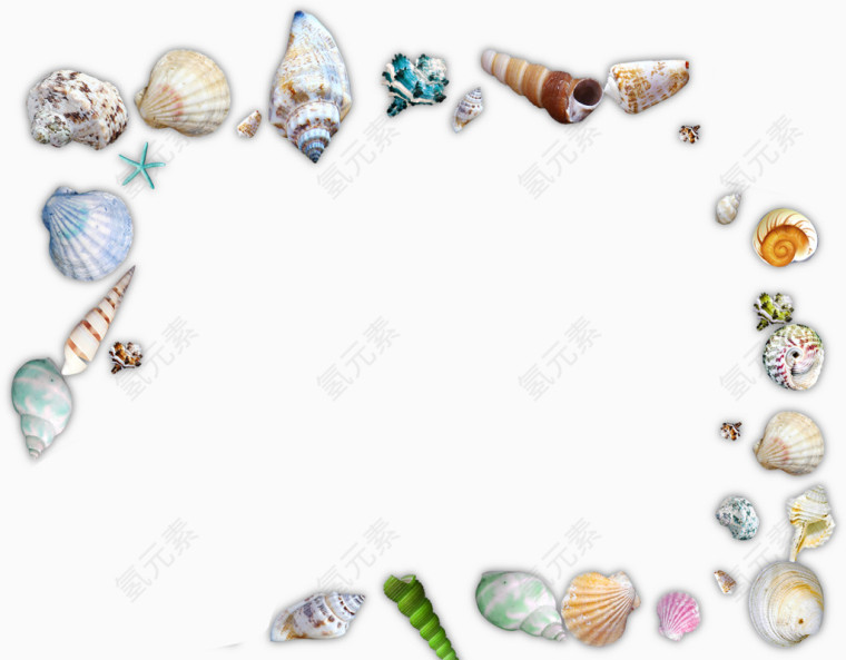 贝壳海螺装饰元素