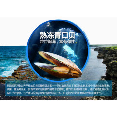 海洋贝壳