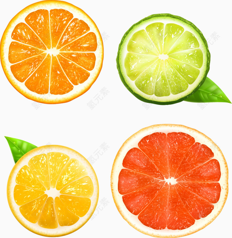 切开的鲜橙