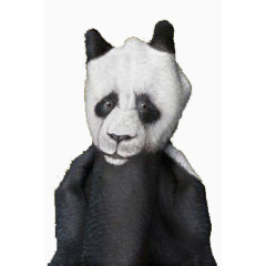 手型熊猫