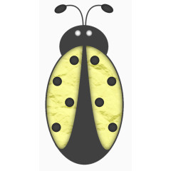 黄色斑点甲壳虫