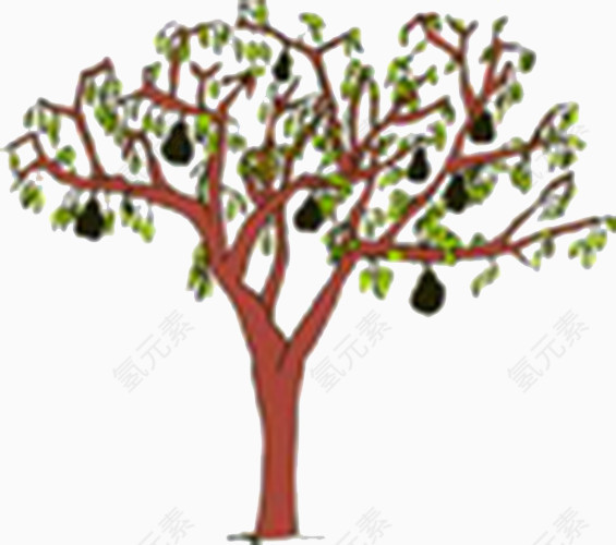 黑色果子的树