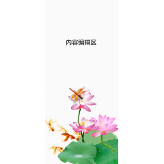 荷花上的蜻蜓