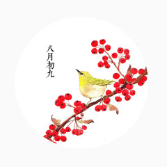 黄鸟和红果子