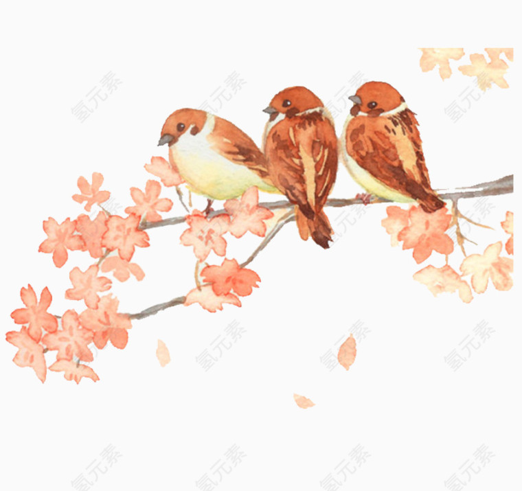 梅花树枝上的鸟