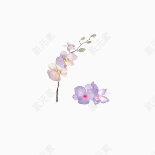 手绘紫色花