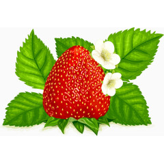 好吃红色草莓