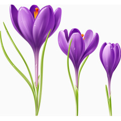 紫色精美花束
