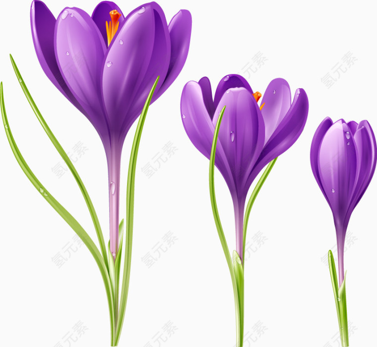 紫色精美花束