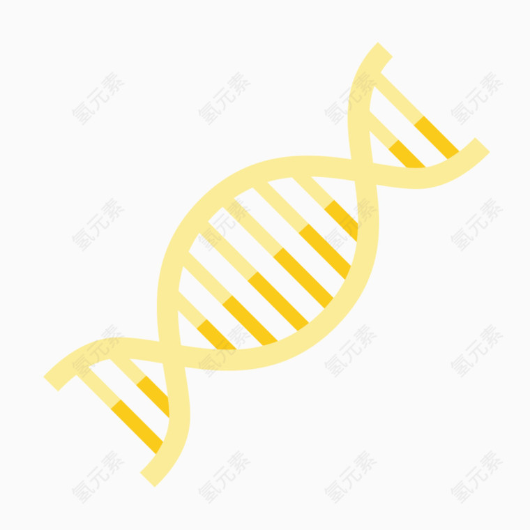 黄色基因