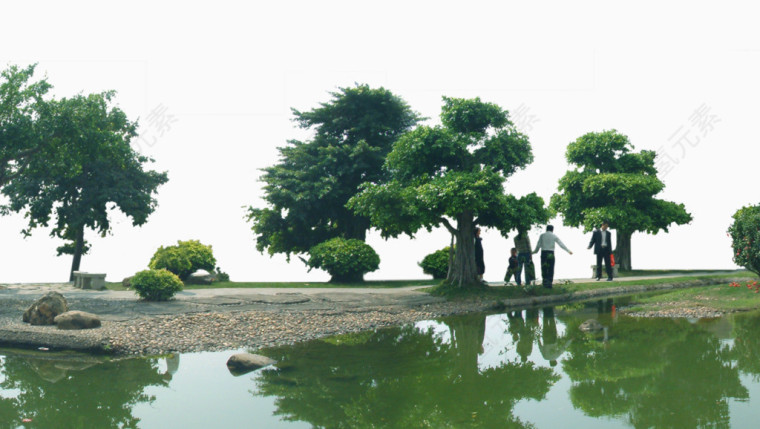 湖光山色树林