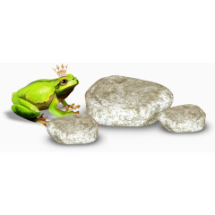 青蛙石头