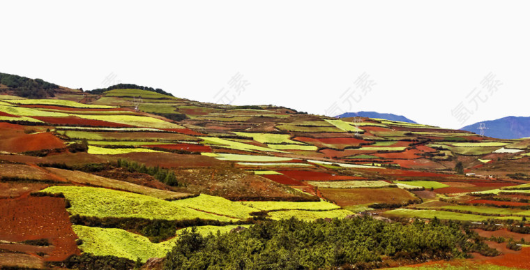 东川红土地图片