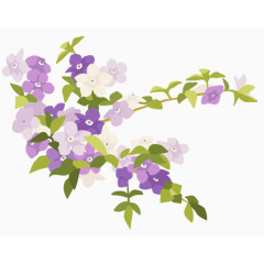 手绘花朵紫罗兰