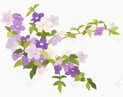 手绘花朵紫罗兰
