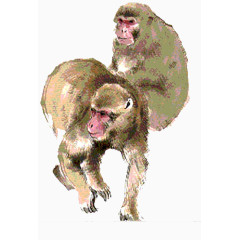 两只猴子
