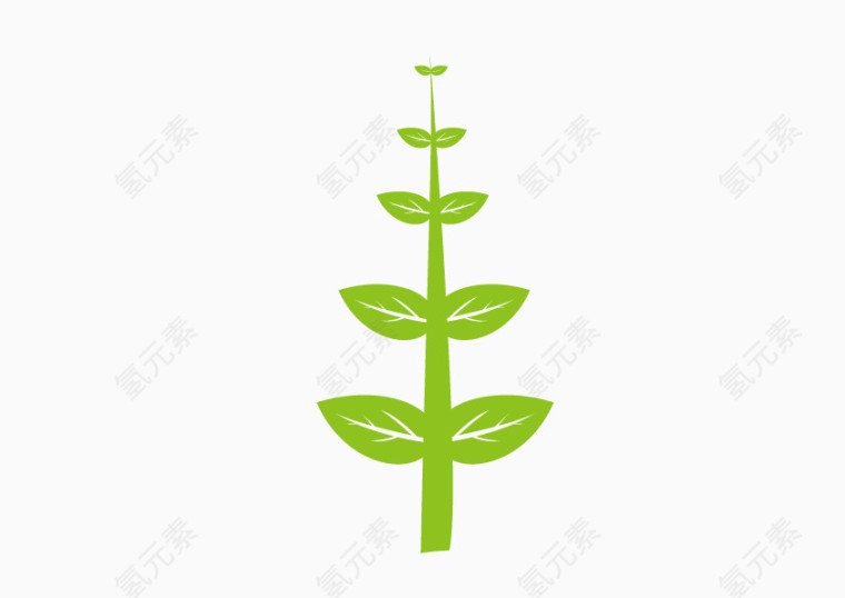 绿色生长植物